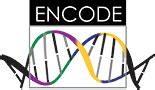 encode encore confidence|ENCORE Matrix – ENCODE.